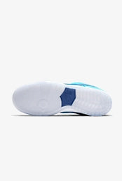 Nike SB Dunk Low Pro Blue Fury