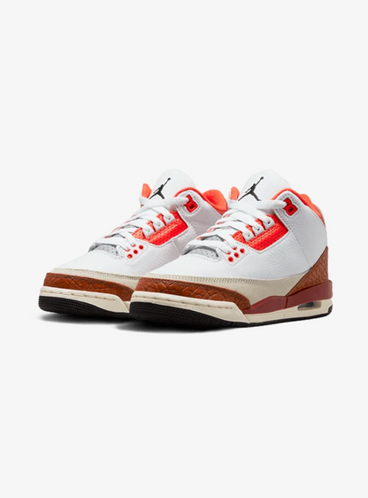 Air Jordan 3 Retro SE Dunk on Mars