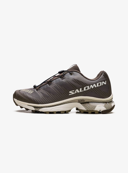 Salomon XT-4 OG Aurora Borealis Canteen