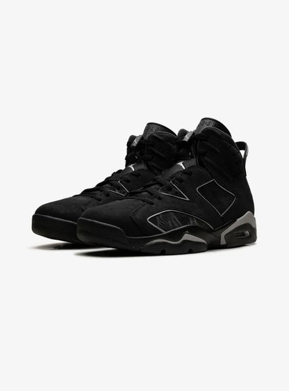 Air Jordan 6 Retro Cap and Gown