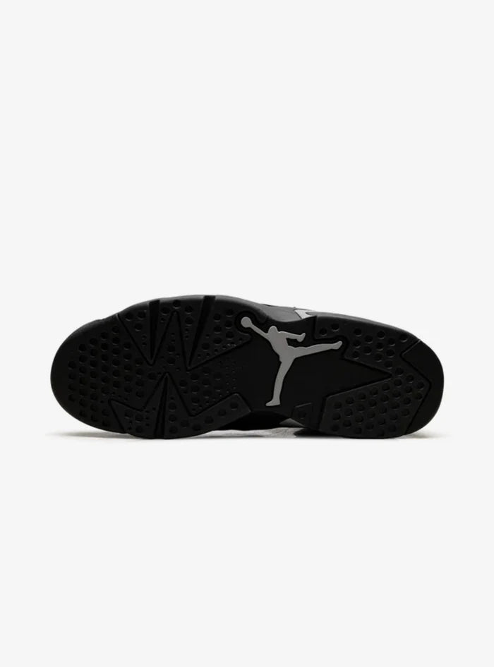Air Jordan 6 Retro Cap and Gown