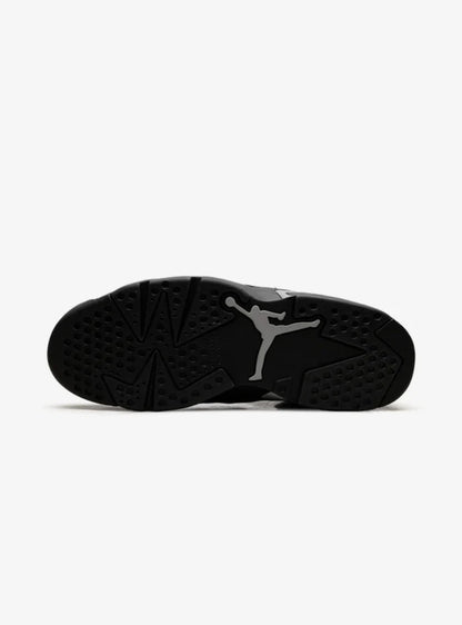 Air Jordan 6 Retro Cap and Gown