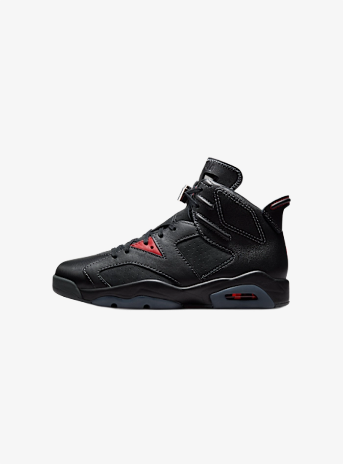 Air Jordan 6 Retro PRM Bin23