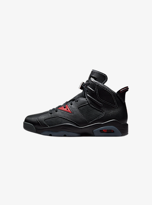 Air Jordan 6 Retro PRM Bin23