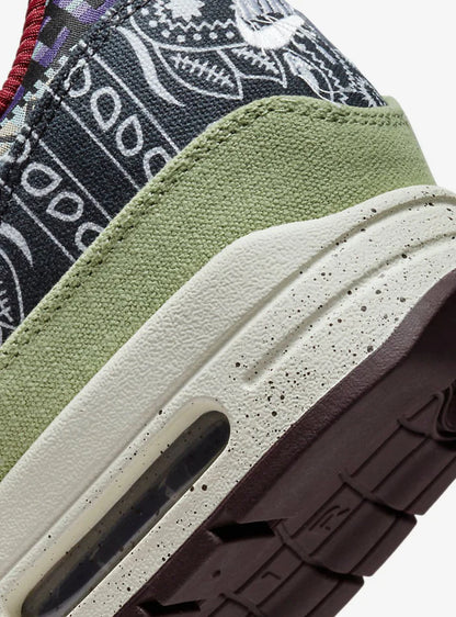 Nike Air Max 1 SP Concepts Mellow