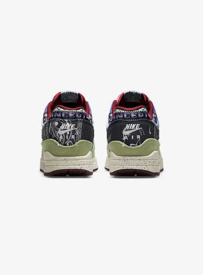 Nike Air Max 1 SP Concepts Mellow