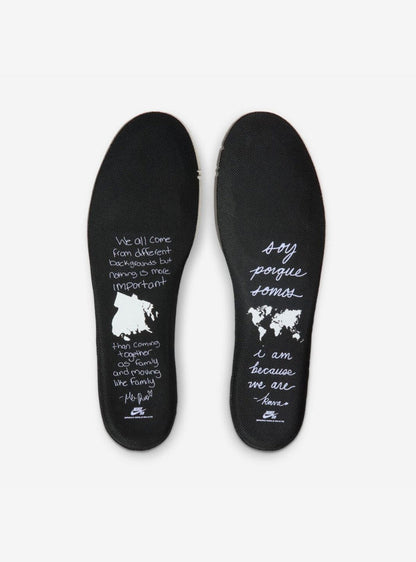 Nike SB Dunk Low Bronx Girls Skate