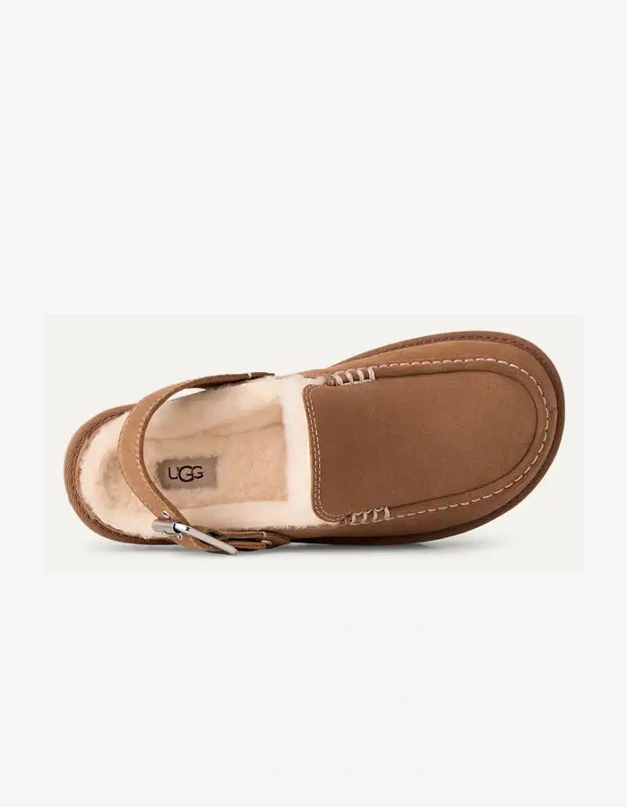Sabot Goldenstar Evelina Chestnut